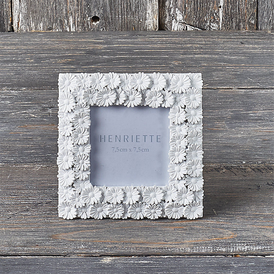 Cornice Margherite coll. Ostuni