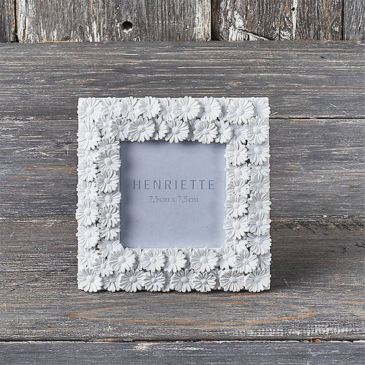 Cornice Margherite coll. Ostuni